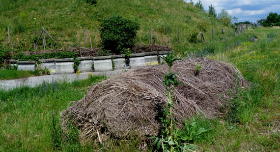 Steinhaufen